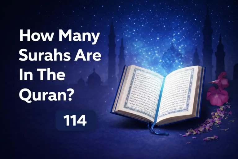 how many surahs are in the quran